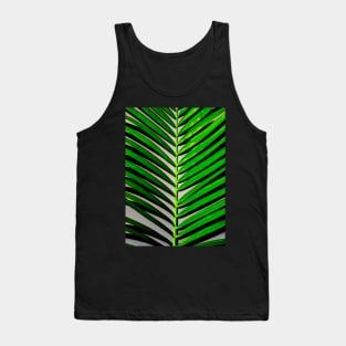 palm leaves photography Tank Top